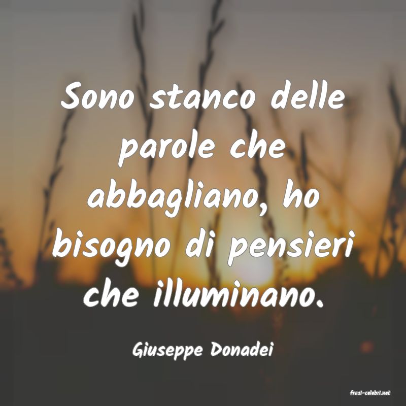 frasi di  Giuseppe Donadei
