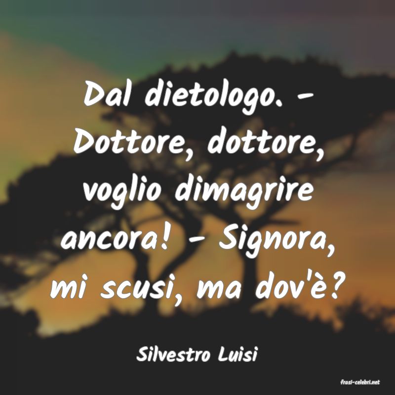 frasi di Silvestro Luisi