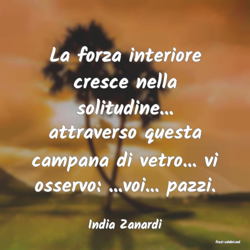 frasi di India Zanardi
