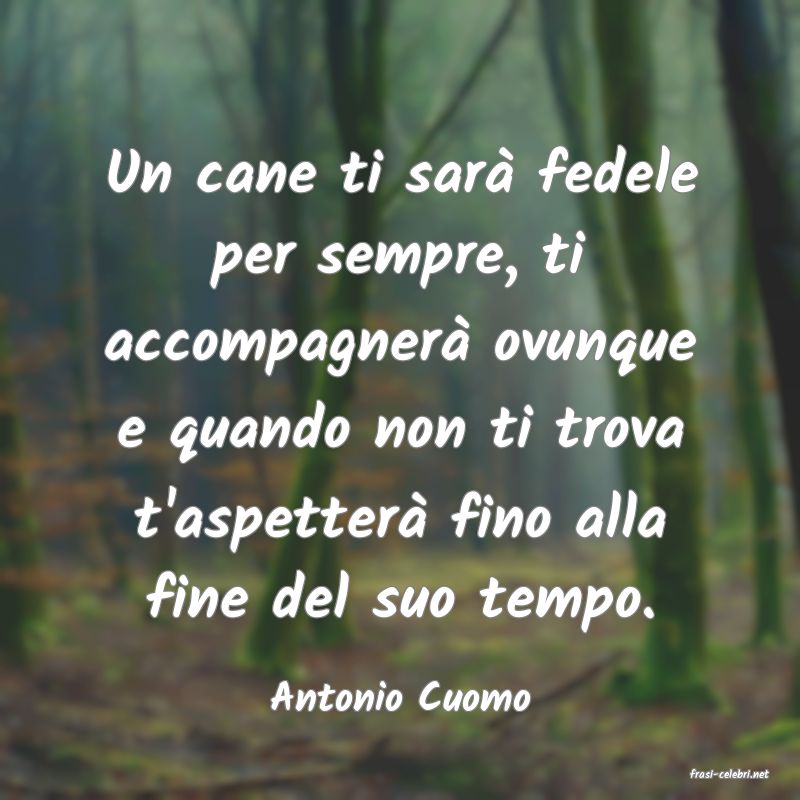 frasi di  Antonio Cuomo
