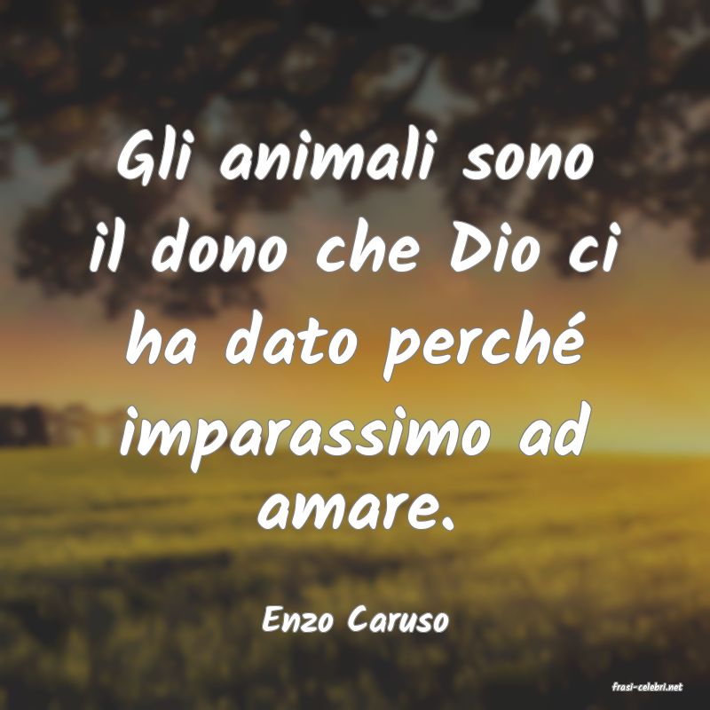 frasi di  Enzo Caruso
