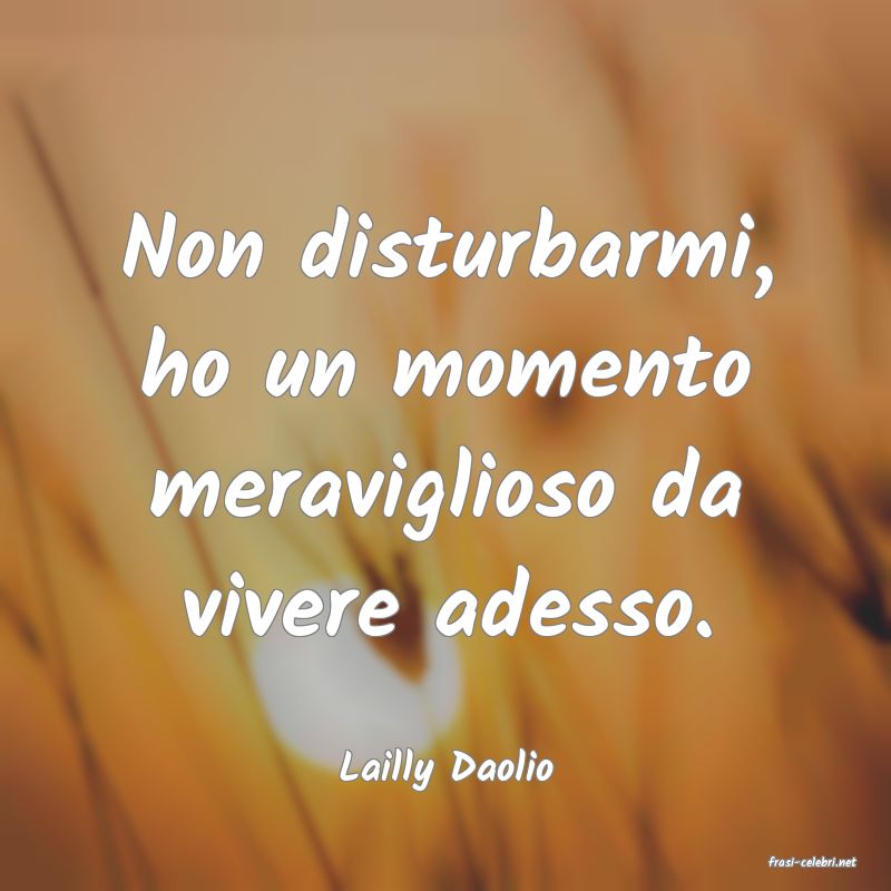 frasi di  Lailly Daolio
