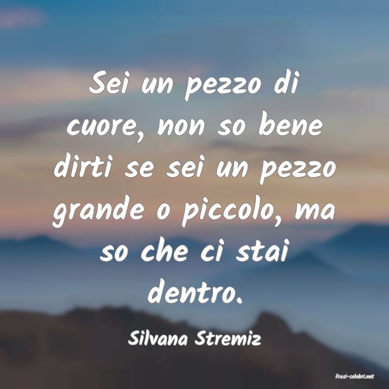 frasi di  Silvana Stremiz
