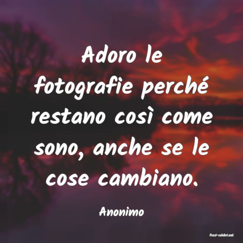 frasi di  Anonimo
