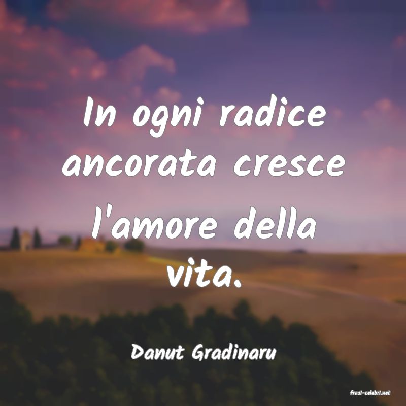 frasi di  Danut Gradinaru
