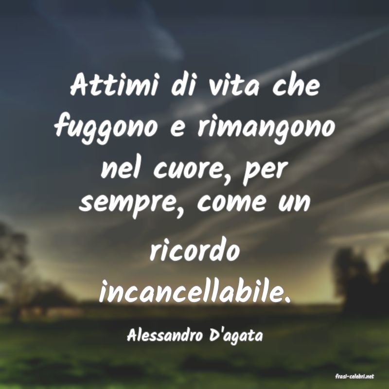 frasi di  Alessandro D'agata
