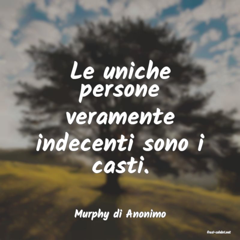 frasi di Murphy di Anonimo