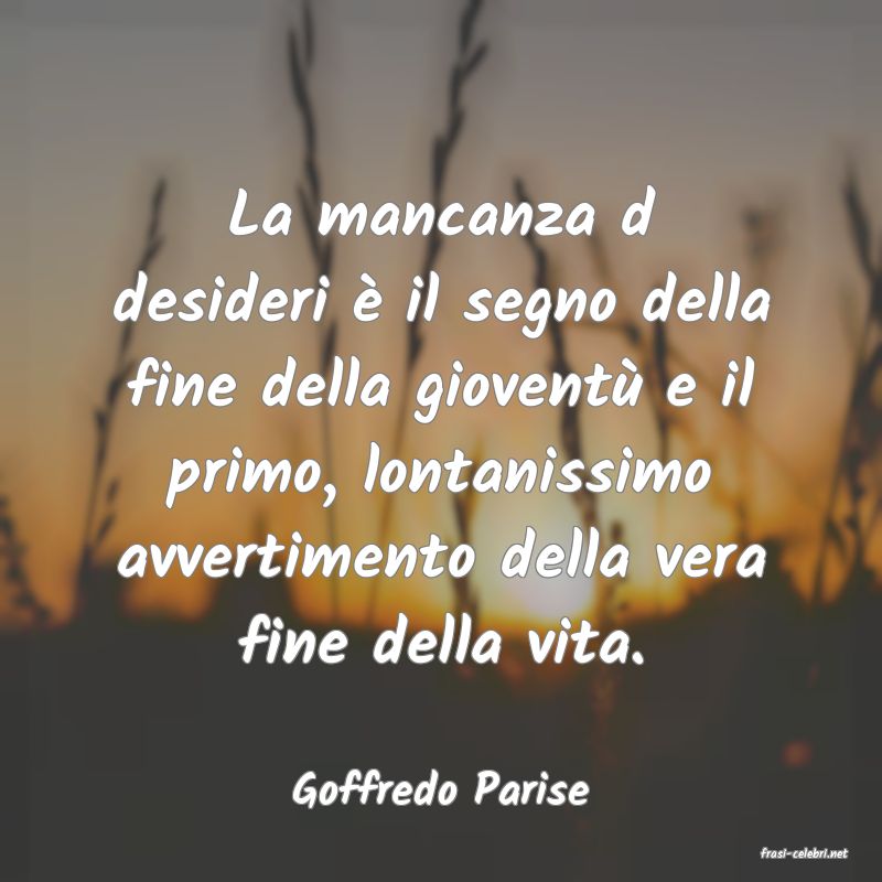 frasi di Goffredo Parise