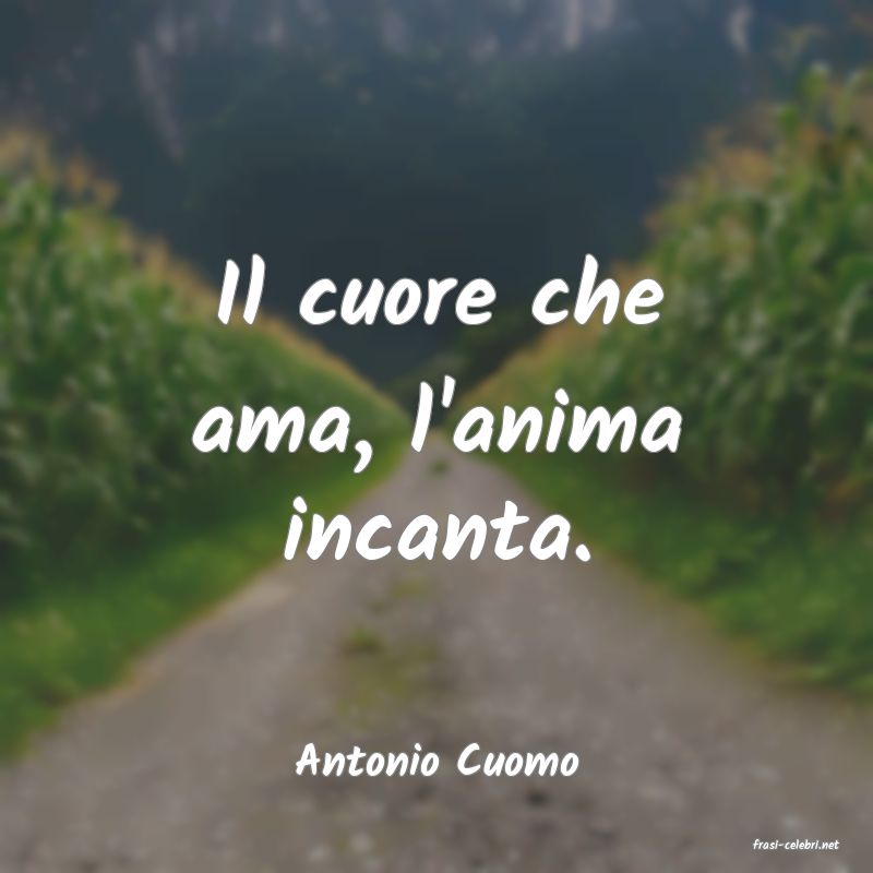 frasi di  Antonio Cuomo
