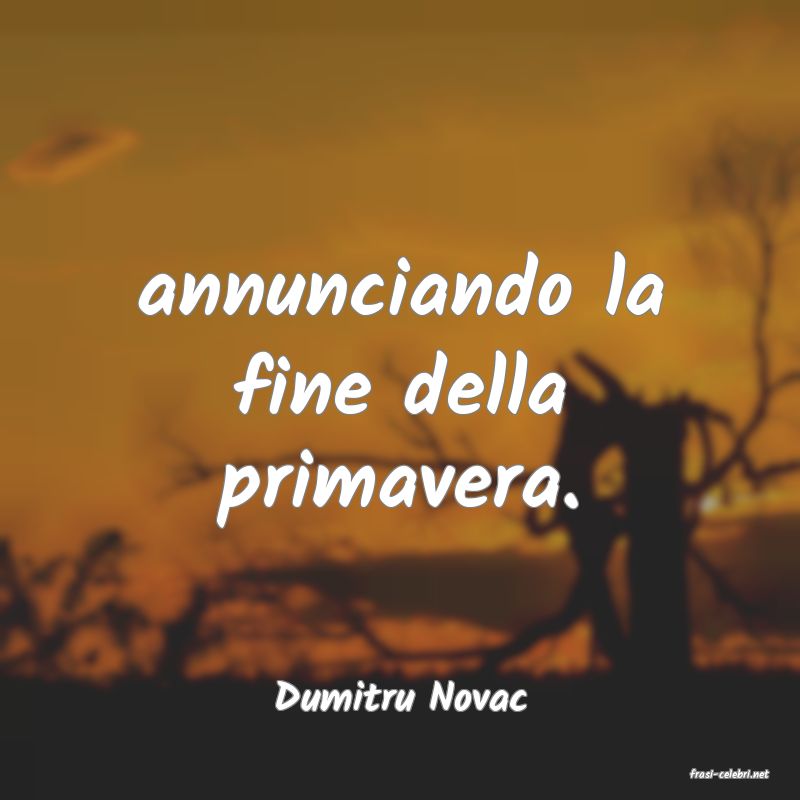 frasi di  Dumitru Novac
