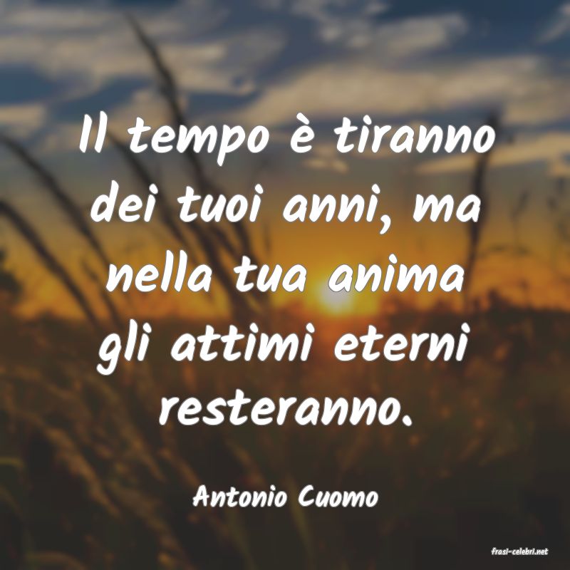 frasi di  Antonio Cuomo
