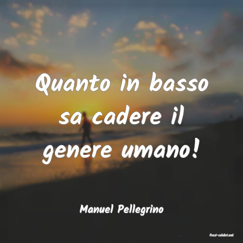 frasi di  Manuel Pellegrino
