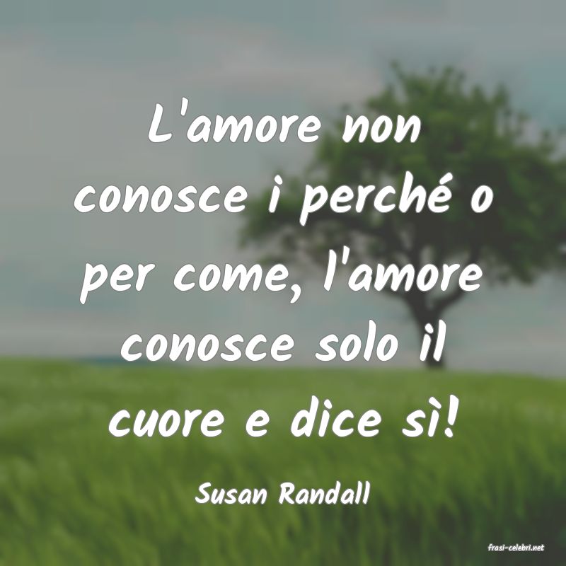 frasi di  Susan Randall

