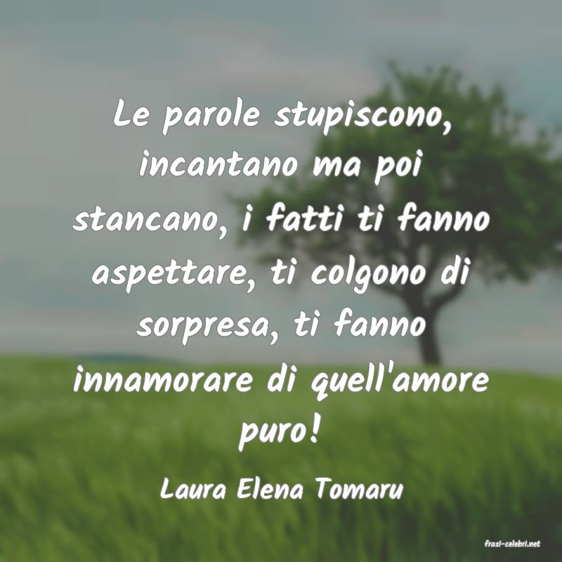 frasi di  Laura Elena Tomaru
