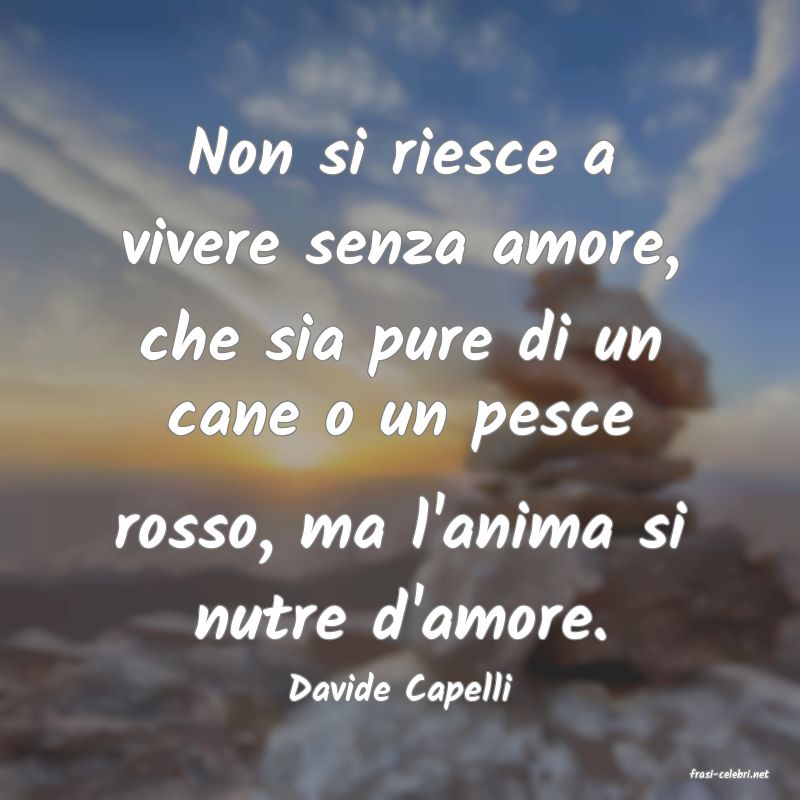 frasi di  Davide Capelli
