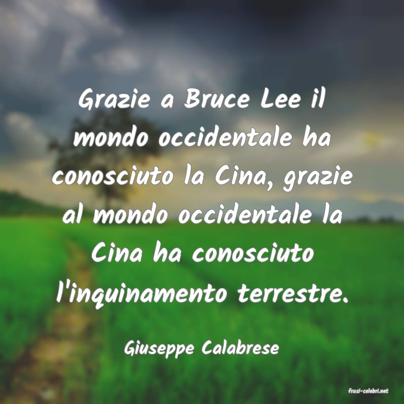 frasi di  Giuseppe Calabrese
