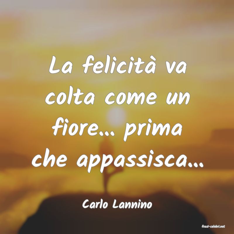 frasi di  Carlo Lannino
