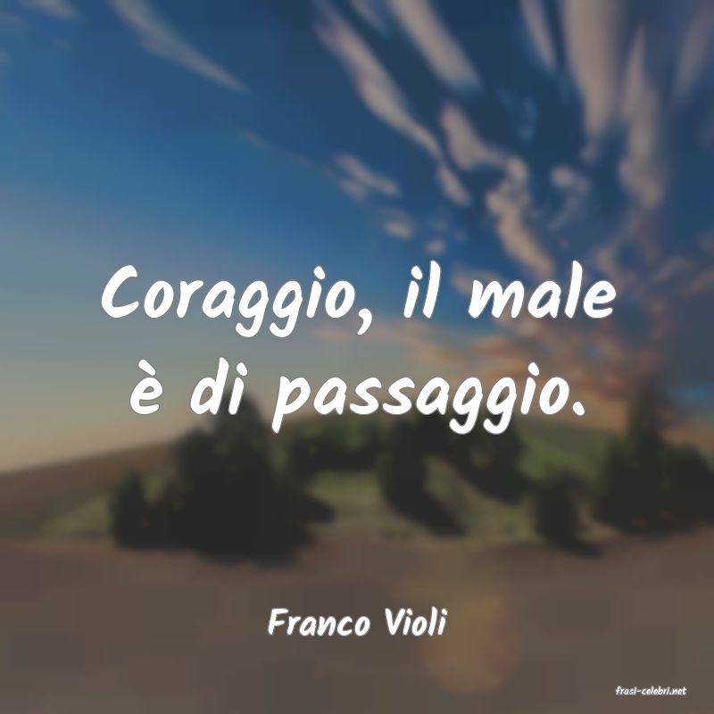 frasi di  Franco Violi
