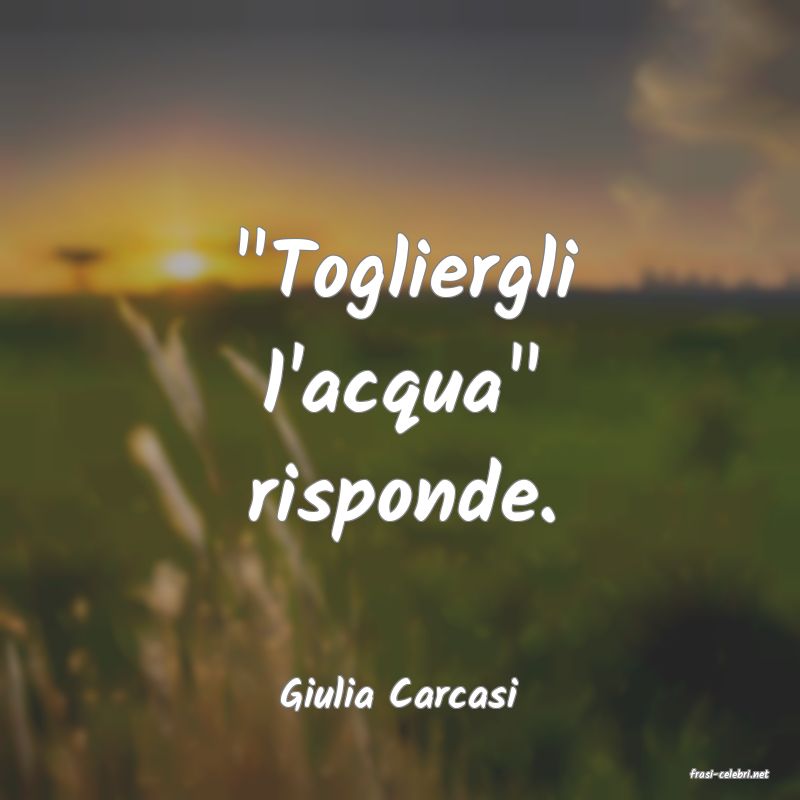 frasi di  Giulia Carcasi
