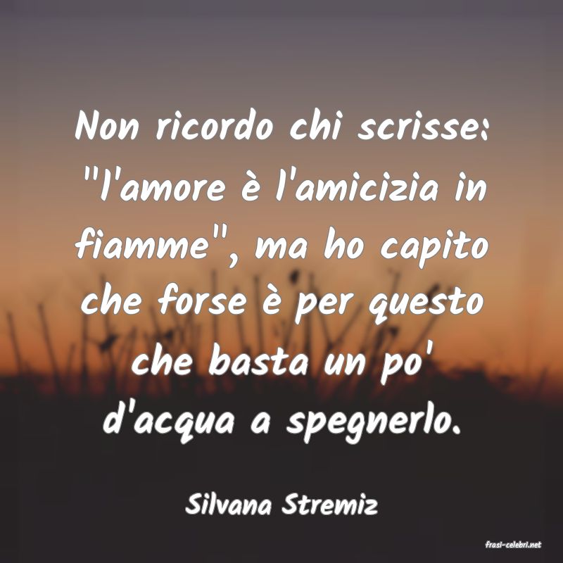 frasi di Silvana Stremiz