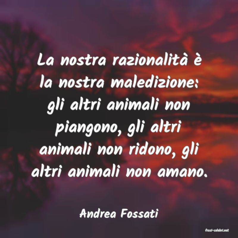 frasi di Andrea Fossati