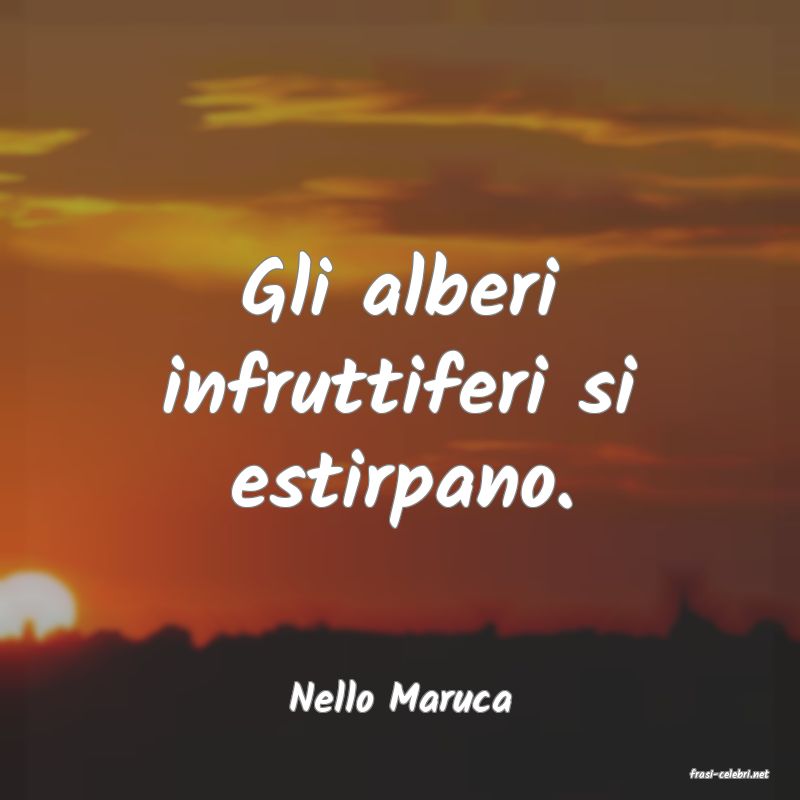 frasi di  Nello Maruca
