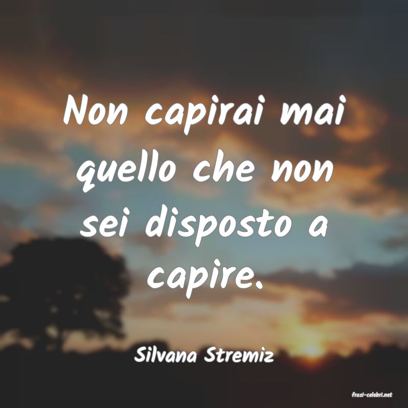 frasi di  Silvana Stremiz
