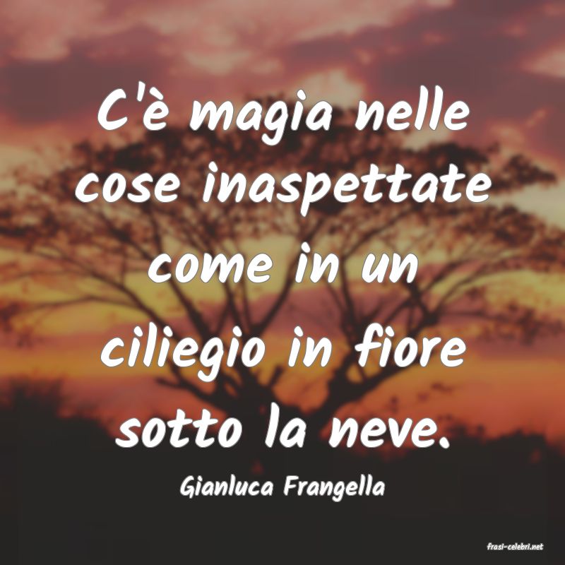 frasi di  Gianluca Frangella
