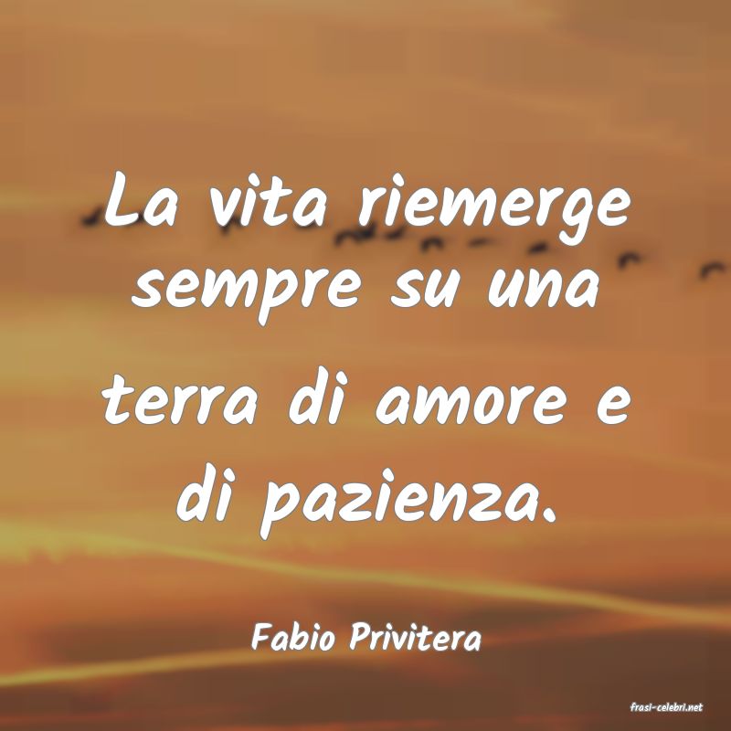 frasi di  Fabio Privitera
