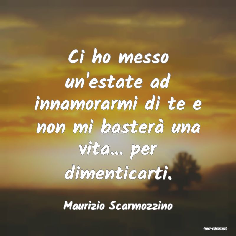 frasi di  Maurizio Scarmozzino
