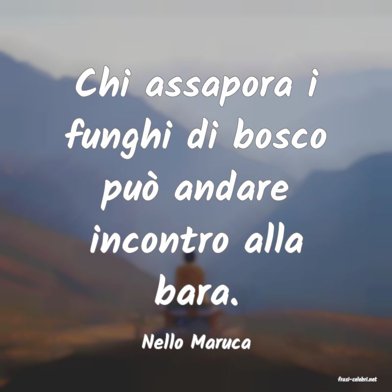 frasi di  Nello Maruca
