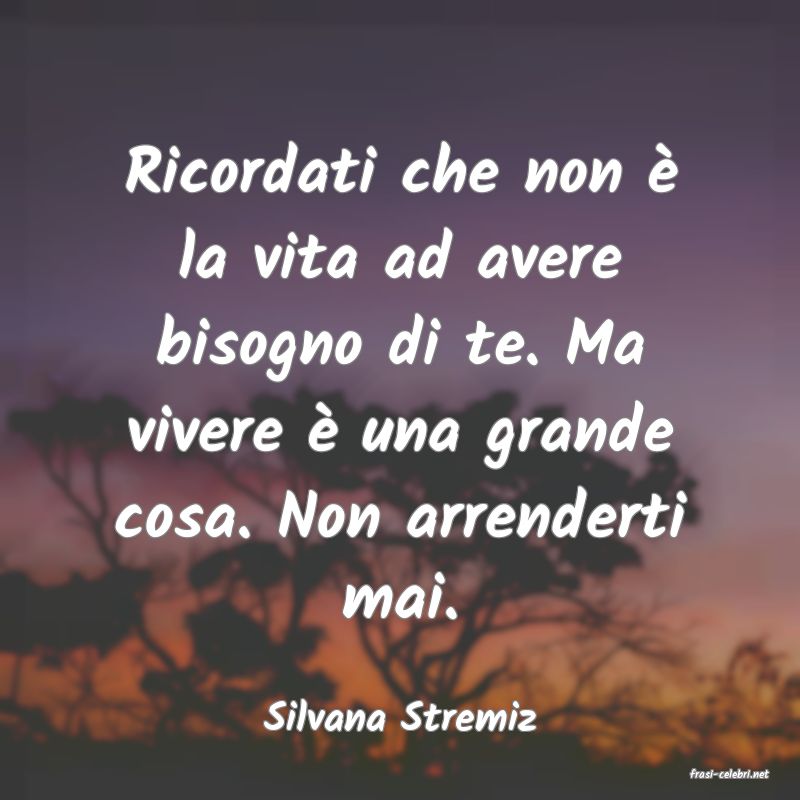 frasi di Silvana Stremiz