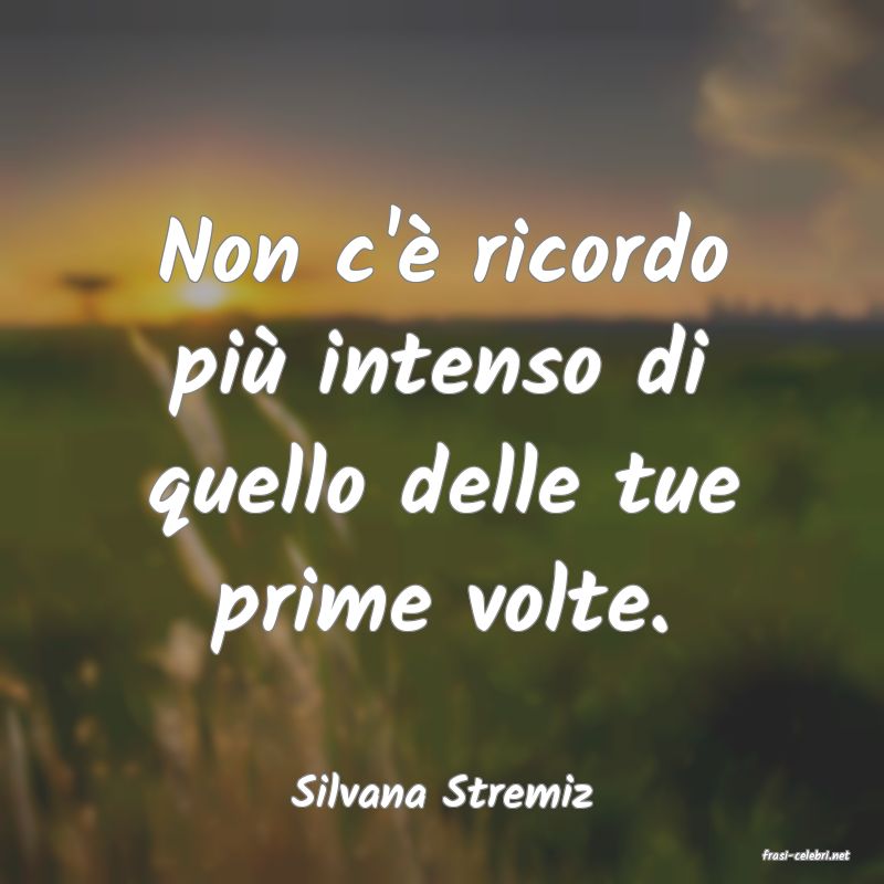 frasi di Silvana Stremiz