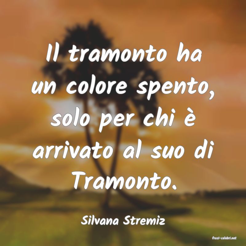 frasi di Silvana Stremiz