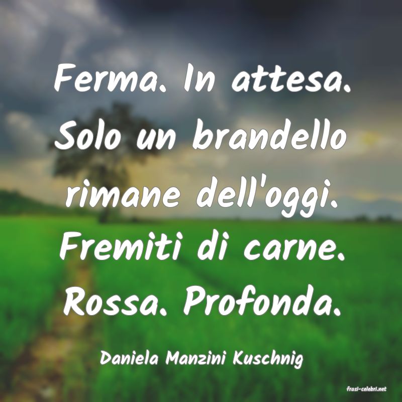 frasi di Daniela Manzini Kuschnig