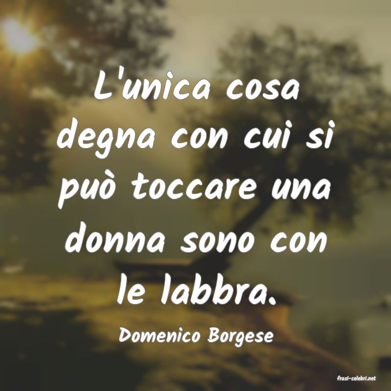 frasi di  Domenico Borgese
