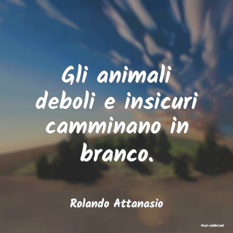 frasi di  Rolando Attanasio
