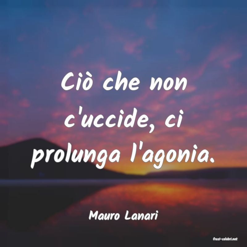 frasi di  Mauro Lanari
