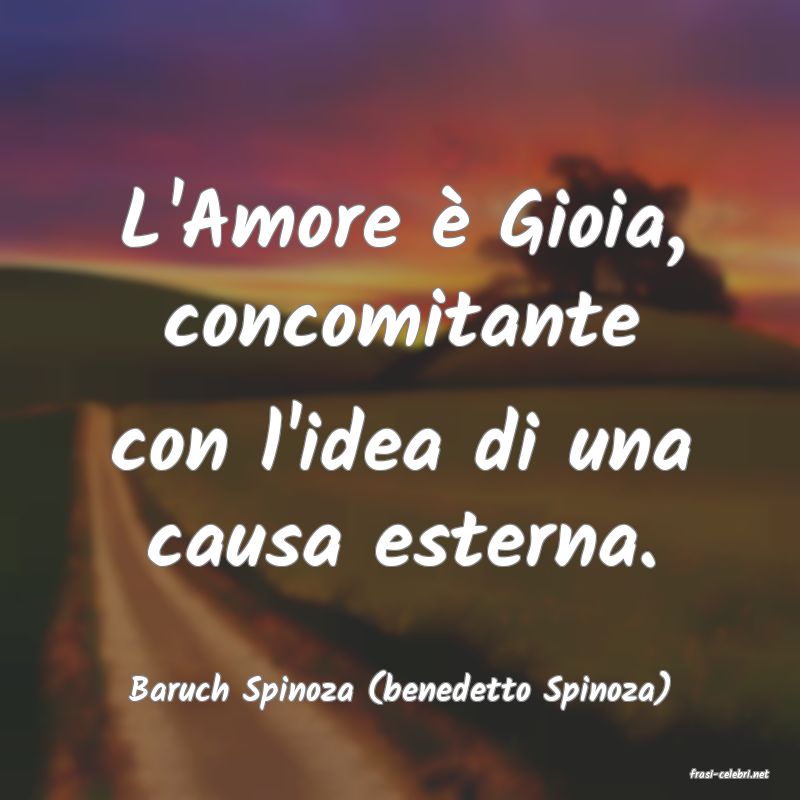 frasi di  Baruch Spinoza (benedetto Spinoza)
