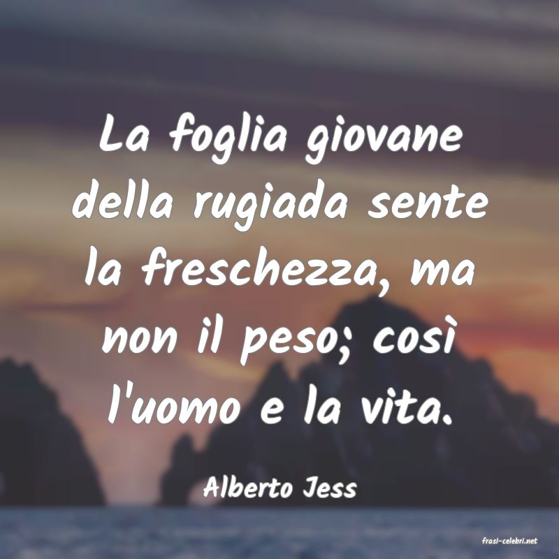 frasi di  Alberto Jess
