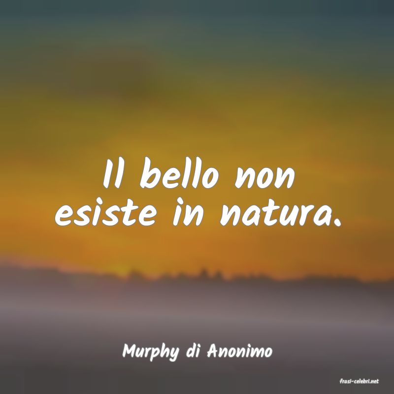 frasi di Murphy di Anonimo