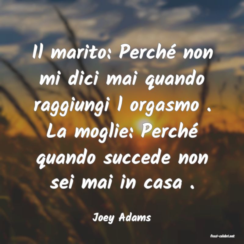 frasi di Joey Adams