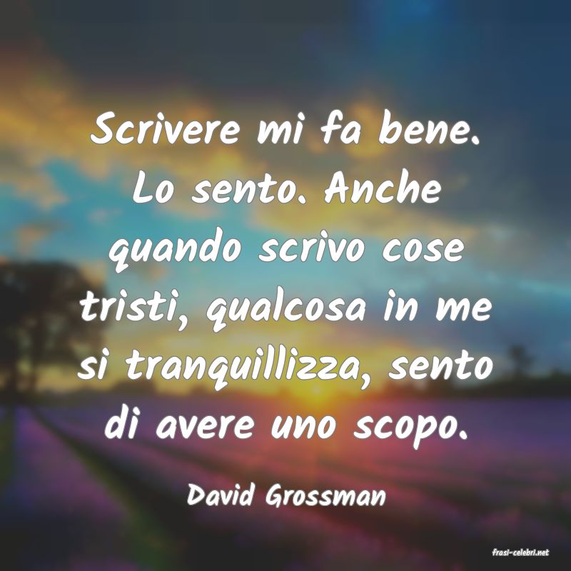 frasi di  David Grossman
