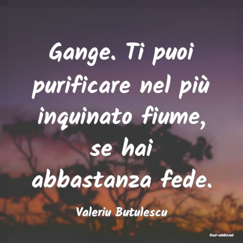 frasi di  Valeriu Butulescu
