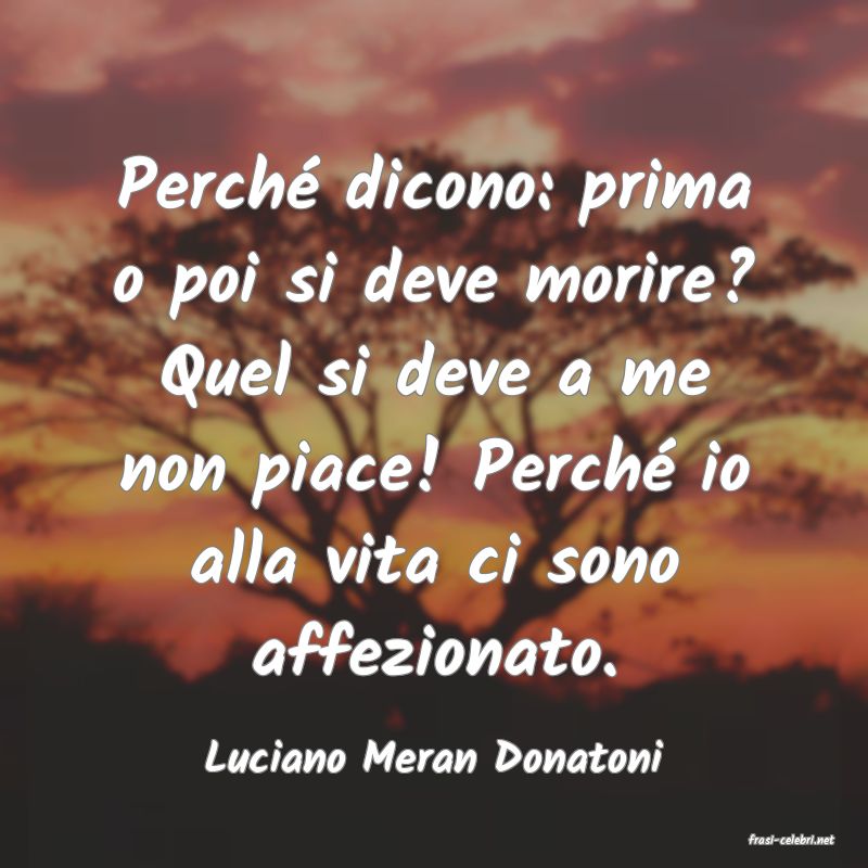 frasi di  Luciano Meran Donatoni
