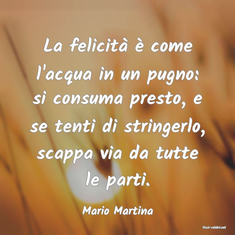 frasi di Mario Martina