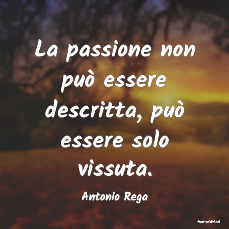 frasi di  Antonio Rega
