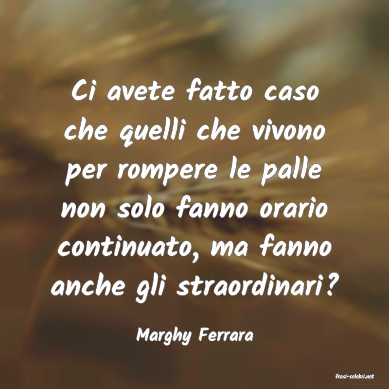 frasi di  Marghy Ferrara

