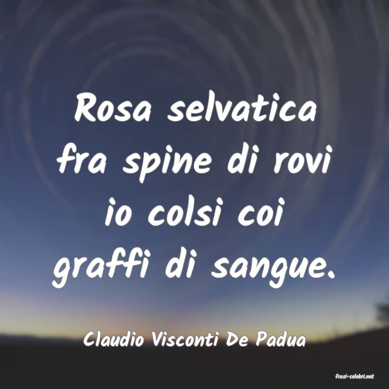 frasi di  Claudio Visconti De Padua
