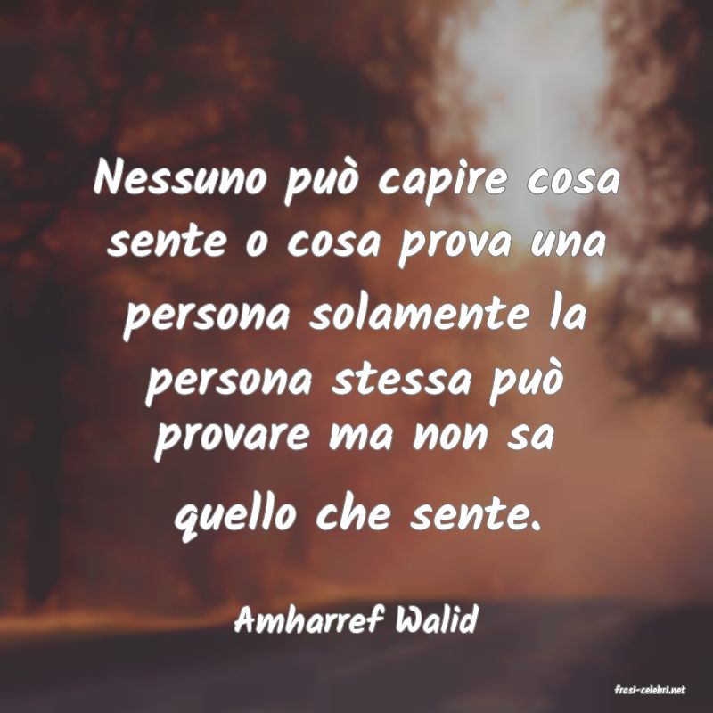 frasi di  Amharref Walid
